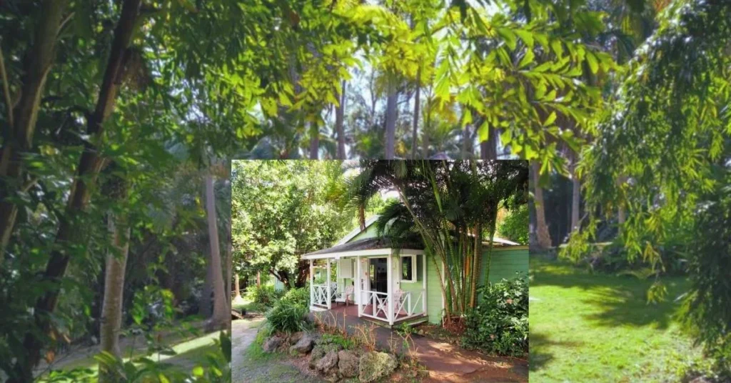2. The Countryside Core Heart 1024x536